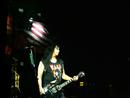 W.A.S.P. 