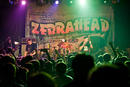 Zebrahead 