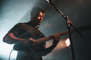 Animals as Leaders 