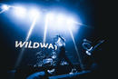 Wildways 